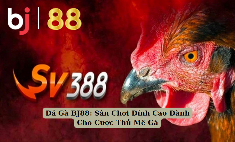 đá gà bj88