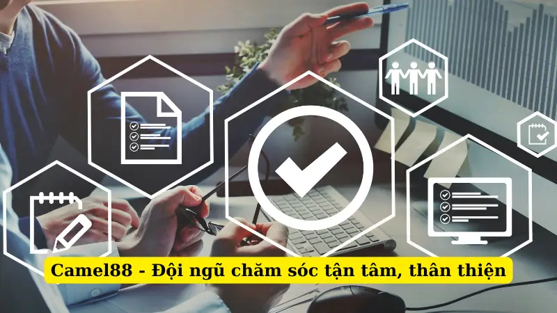 Camel88 - Đội ngũ chăm sóc tận tâm, thân thiện