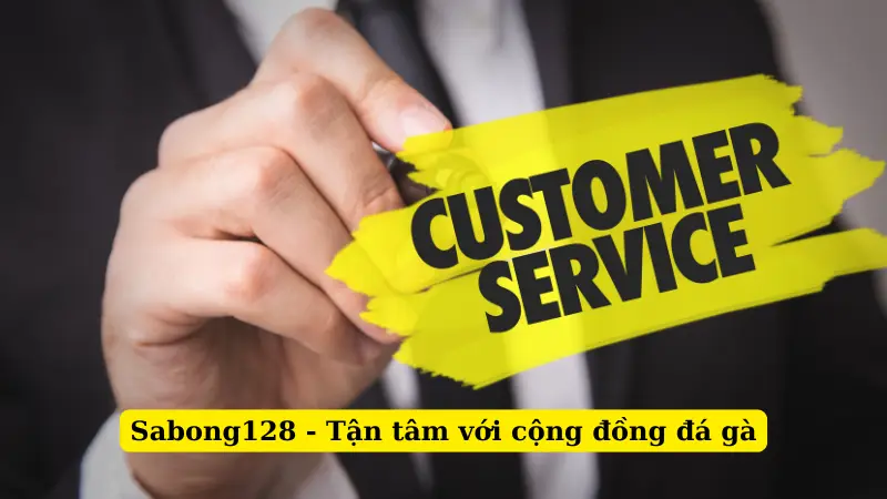 Sabong128 - Tận tâm với cộng đồng đá gà